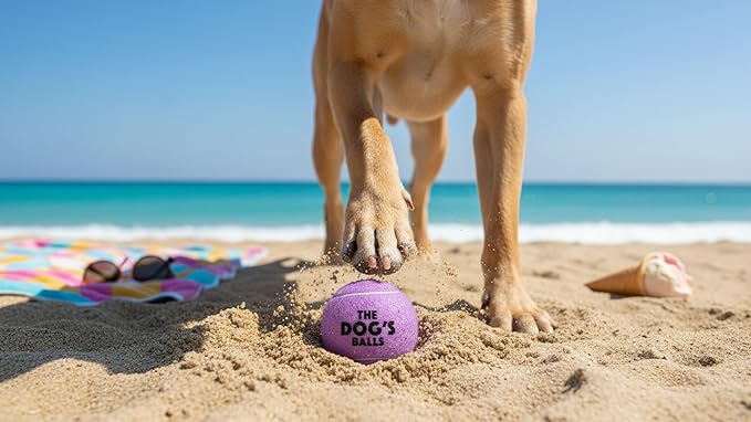 The Dog's Balls Dog Tennis Balls for Dogs, Lilac, 12-Pack - Non-Abrasive Felt Fetch Balls, Tough Rubber Core, Float in Water, Fits Standard Launchers