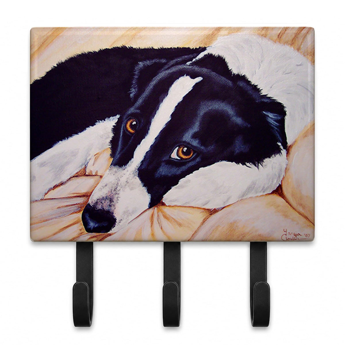 Caroline's Treasures AMB1080TH68 Naptime Border Collie Leash - Image 1