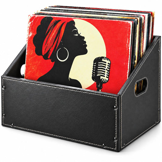 Faux Leather Vinyl Record Storage Holder, Desktop Lp - Image 1