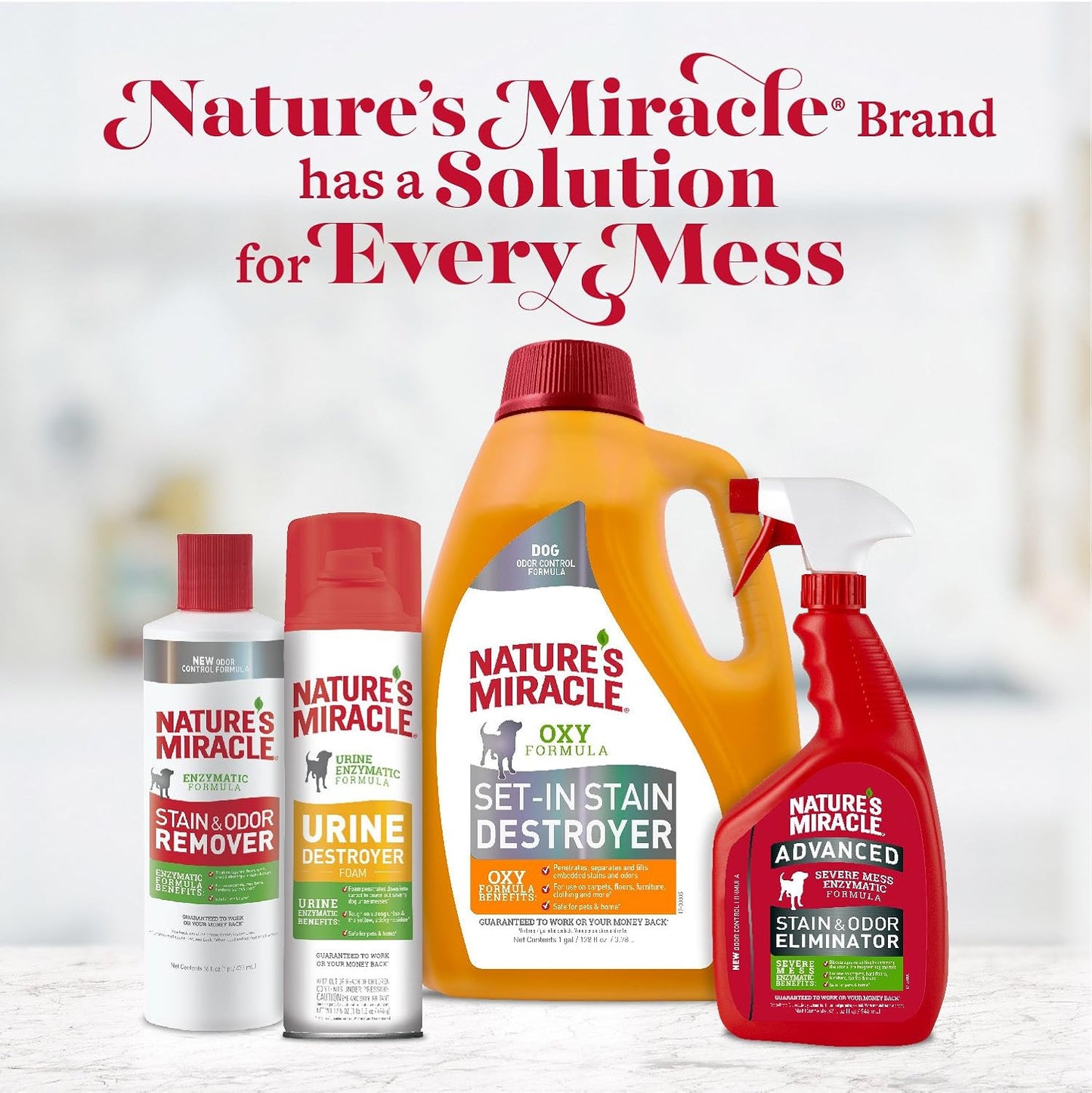 Nature’s Miracle Advanced Stain & Odor Eliminator – Enzyme Cleaner for Dogs & Cats (1 Gallon) | Fixory911