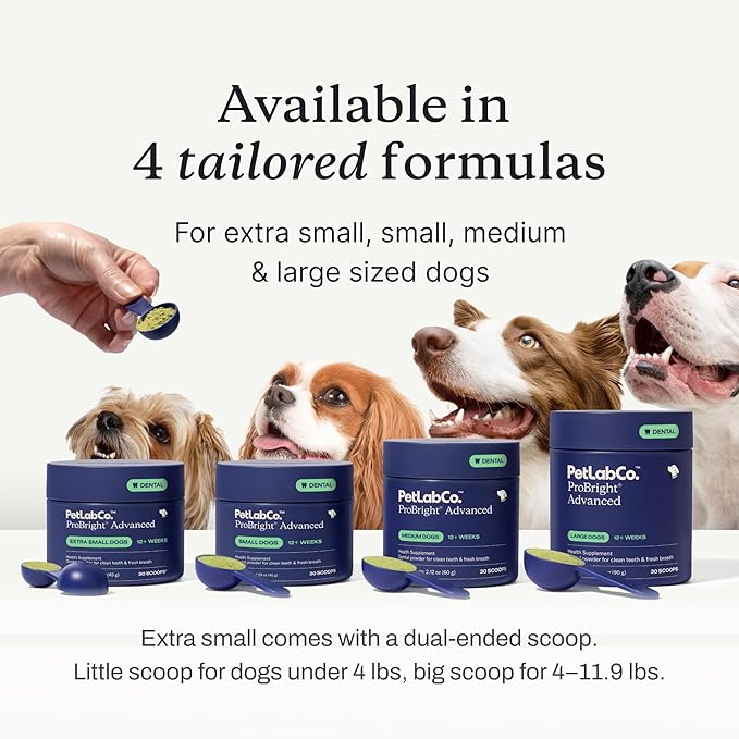 PetLab Co. ProBright Advanced Dental Powder - Dog Breath Freshener - Teeth Cleaning Made Easy – Targets Tartar & Bad Breath - Packaging May Vary - Formulated for Small Dogs