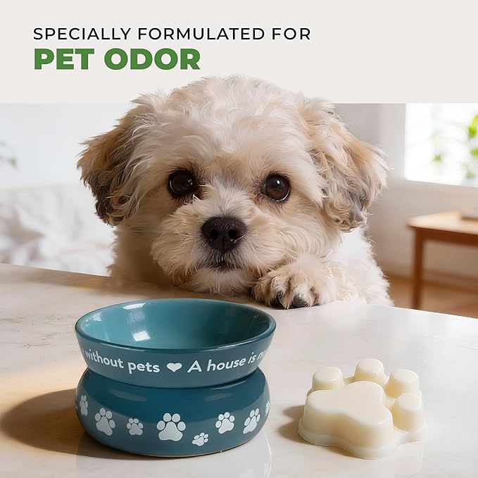 Pet House Fresh Citrus Wax Melts - Long-Lasting Scented Wax Melts Plant Based, Pet Friendly Pack of 2