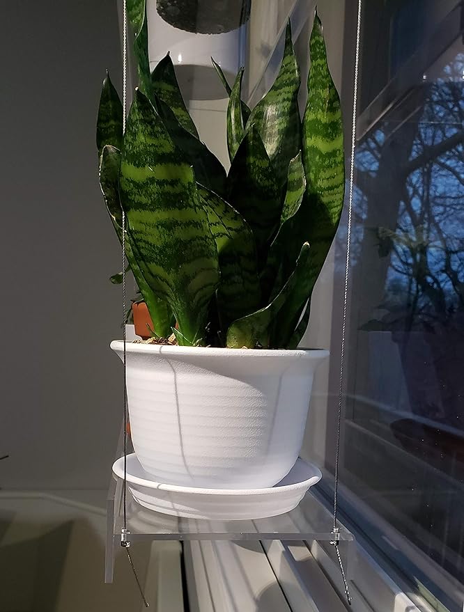 Hanging Acrylic Shelves for Windows (28" Wide, 5 Shelves - 66" Tall)