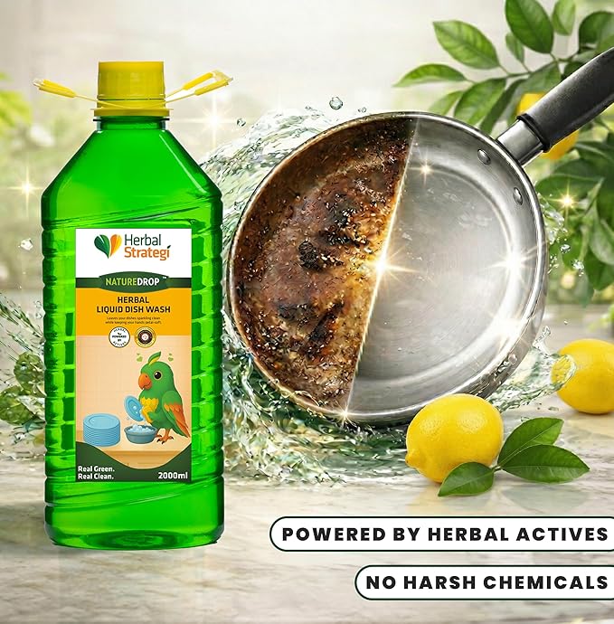 STRATEGI Herbal Liquid Dish Wash Refill (2 L)