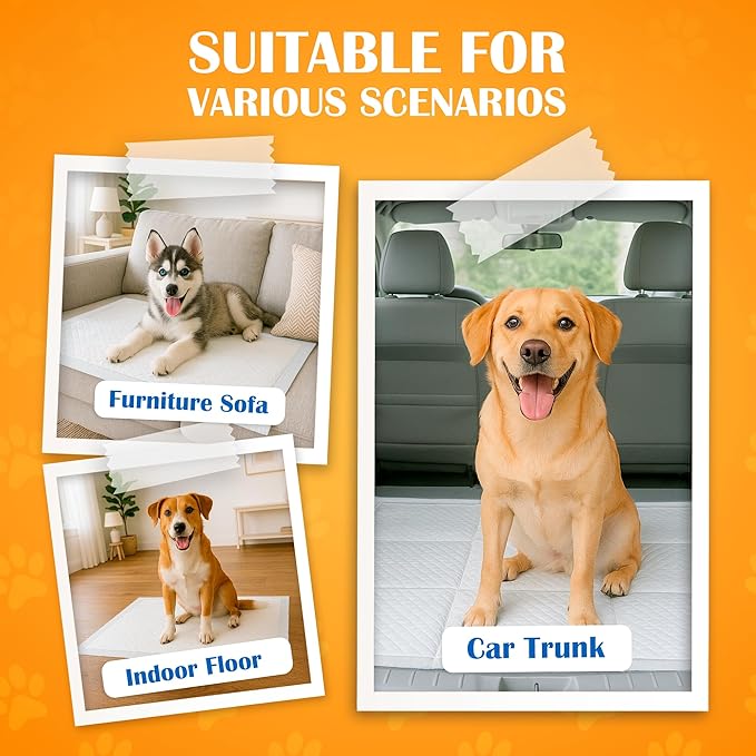 Paws & Claws Premium Disposable Dog & Puppy Pee Pads, Large 28"x30", 40-Count – 6-Layer Leak-Proof, (Holds 8 Cups), Super Absorbent & Odor Control for Large Dogs, Seniors & Multi-Pet Homes