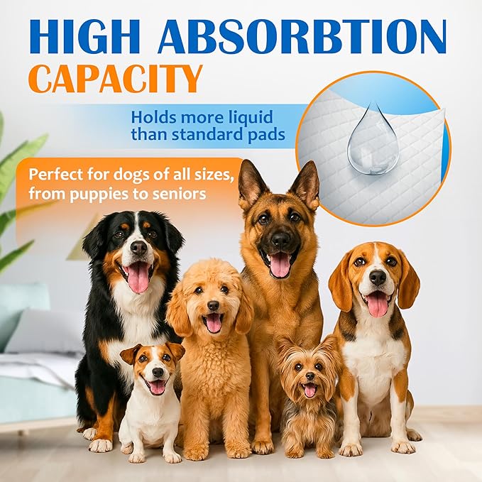 Paws & Claws Premium Disposable Dog & Puppy Pee Pads – Small 17"x20", 50 Count – 6-Layer Leak‑Proof, Super Absorbent (Holds 4 Cups), Quick‑Drying – for Small Dogs, Puppies, Seniors & Potty Training