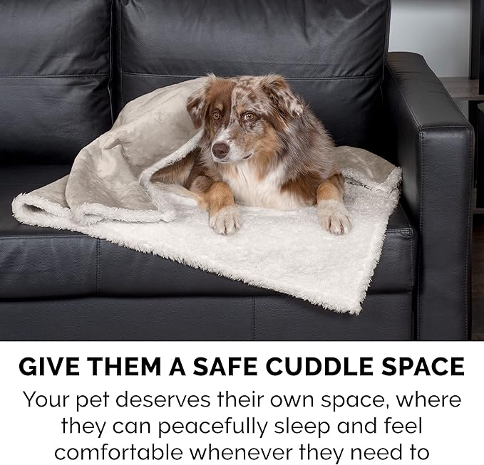 Furhaven Waterproof & Self-Warming Throw Blanket for Dogs & Indoor Cats, Washable & Reflects Body Heat - Soft-Edged Terry & Sherpa Dog Blanket - Dove, Large