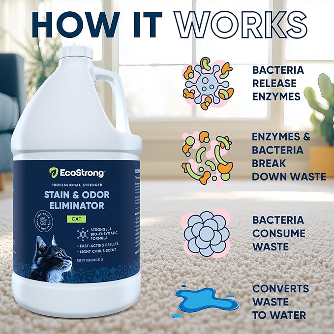 Enzyme Odor Eliminator – Permanent Pet Smell Removal