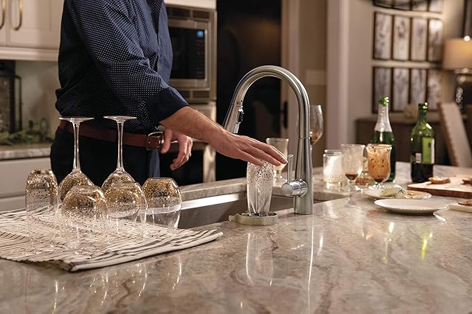 Delta Faucet Glass Rinser for Kitchen Sinks, Kitchen Sink Accessories, Bar Glass Rinser, SpotShield Stainless GR150-SP