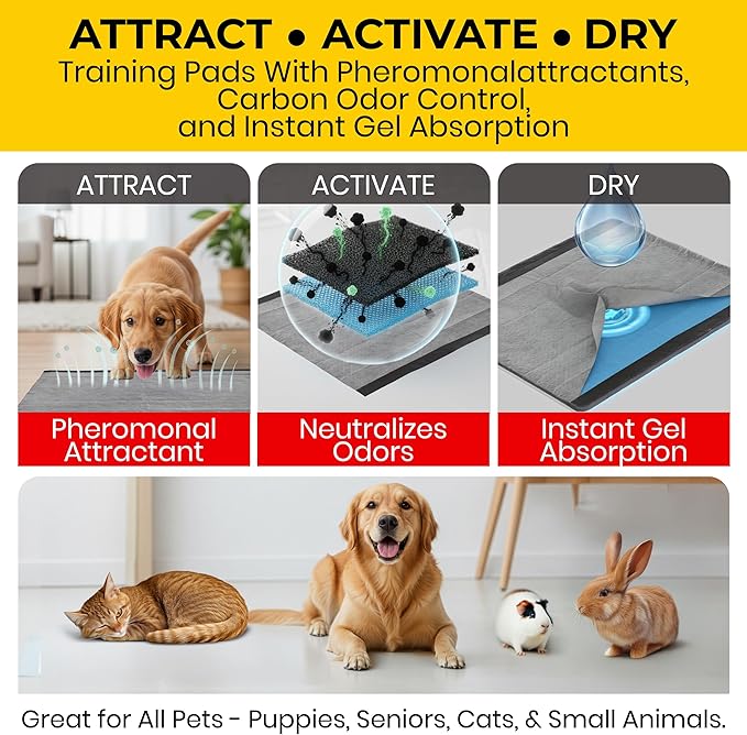 Glad for Pets Extra Large Charcoal Dog Training Pads, Absorbent Leak Proof Pee Pads for Dogs and Puppies, Odor Control Potty Pads with Activated Carbon, 28 x 30 Inches, 30 Count