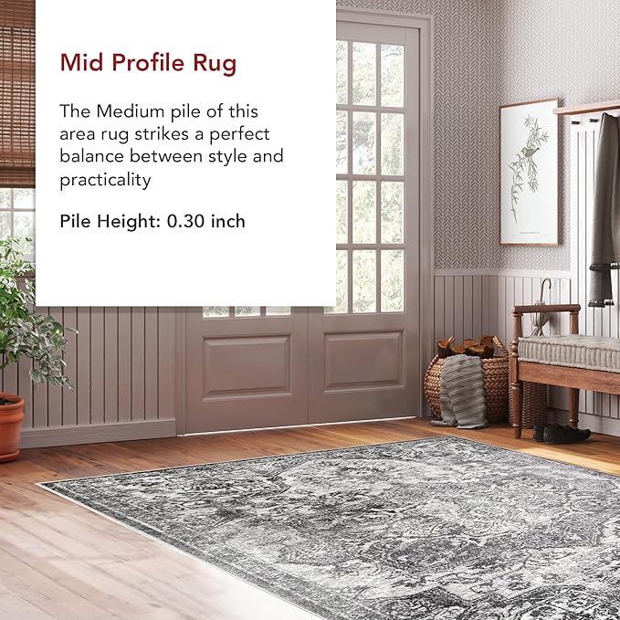 nuLOOM Maryanne Transitional Medallion Accent Rug, 3x5, Grey