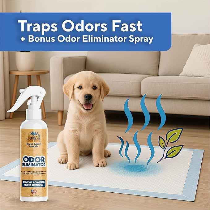 Extra Large Pee Pads for Dogs 30x23 in, 25 Count | Super Absorbent Multilayer Leak Proof Design | Quick Dry Top Layer | Includes Pet Urine Enzyme Cleaner | Disposable Potty Training Mat