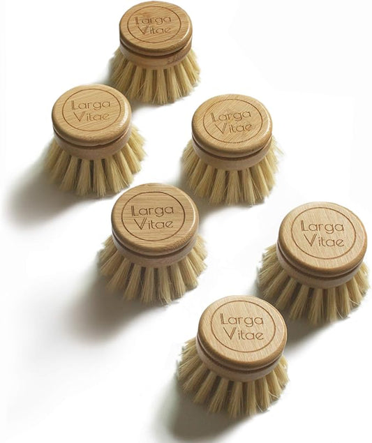 6 pcs Wooden Dish Brush Replacement Heads Made of Renewable Bamboo Wood and Natural Bristle Fiber, Durable, Long Lasting (Tampico Fiber)