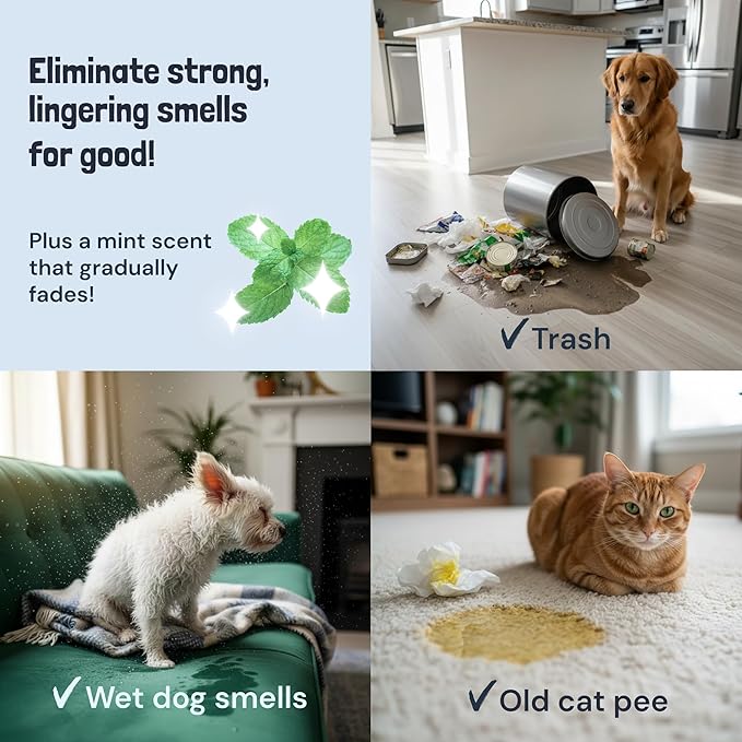 Sunny & Honey Pet Stain Remover - Enzyme Cleaner For New & Deep Set Stains - Carpet Deodorizer & Urine Odor Eliminator for Dog Pee, Cat Urine, Upholstery & Furniture (32 fl oz, Fall Spice)