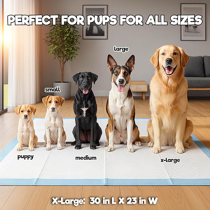 Extra Large Pee Pads for Dogs 30x23 in, 25 Count | Super Absorbent Multilayer Leak Proof Design | Quick Dry Top Layer | Includes Pet Urine Enzyme Cleaner | Disposable Potty Training Mat