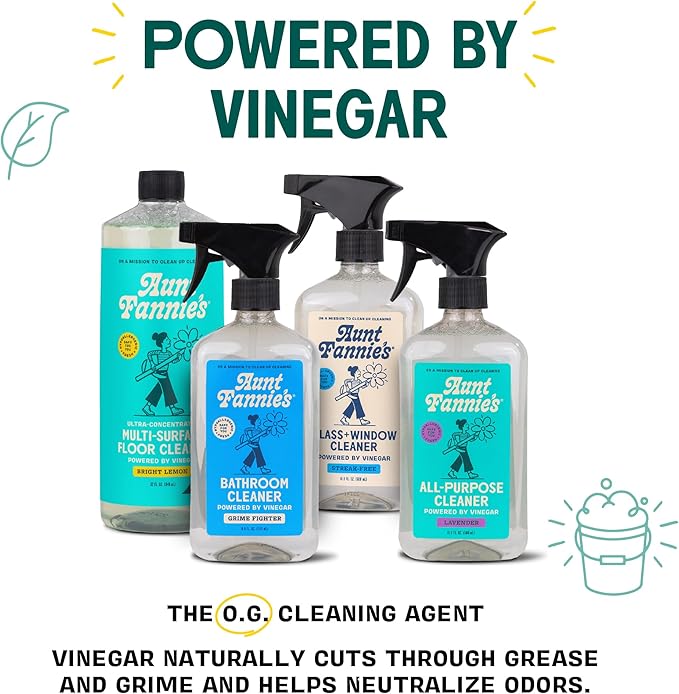 Aunt Fannie's All Purpose Household Cleaner, Multi-surface Spray, Powered by Vinegar for Kitchen, Bath, Windows and Countertops, Eucalyptus Scent (Refill)