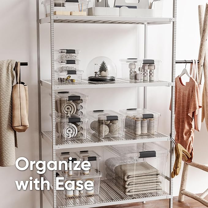 Superio Deep Storage Organizer Bin with Lid X-Deep Small Clear Storage Box with Latch for Home, Kitchen, Garage- Store, Food, Supplies, and Hair Accessories (4.75 Quart)