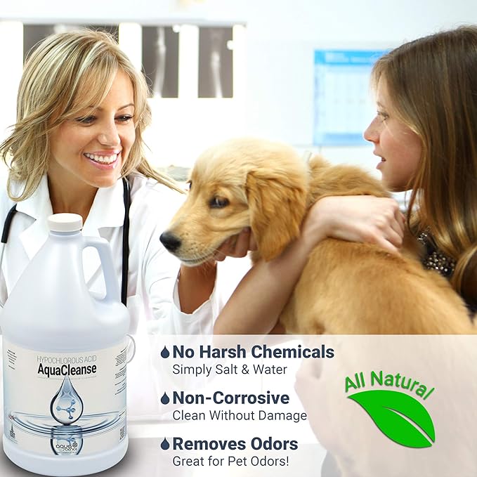 Hypochlorous Acid Spray - 500PPM 32oz Bottle For Cleaning - Dental & Medical Professionals Choice - All Natural HOCL Surface Cleaner - ULV Fogger Solution - Convenient Spray Bottle | Made In USA