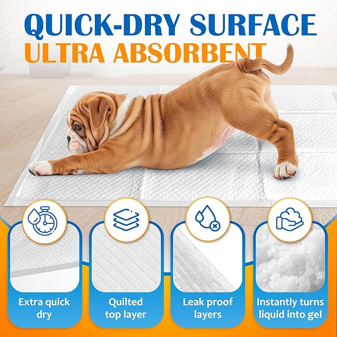 Paws & Claws Premium Disposable Dog & Puppy Pee Pads – Medium 24"x24", 50 Count – 6-Layer Leak‑Proof, Super Absorbent (Holds 6 Cups), Odor Control, Quick‑Drying, Non‑Slip – Puppy & Senior Training