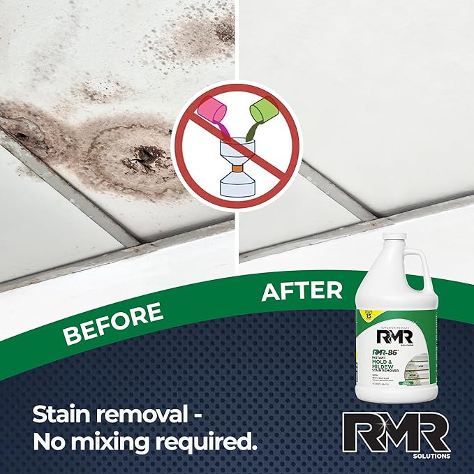 Mold Stain Eraser – No-Scrub, Instant Results