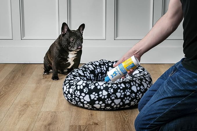 MR LOUIE Pet Stain & Odor Remover for Carpet & Upholstery - Precision Pour No-Spray Cleaner for Dog & Cat Urine, Vomit & Tough Stains - Safe for Kids & Pets (16oz)
