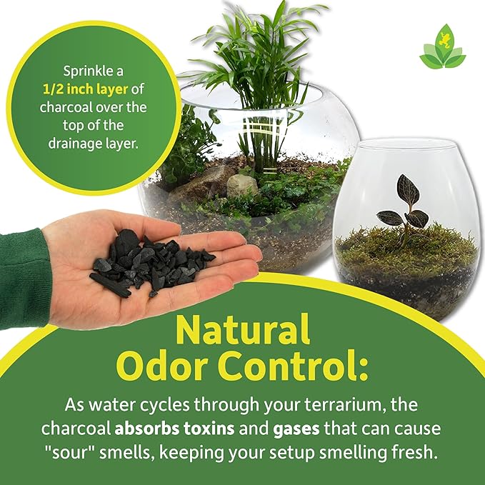 Sprig & Stone Horticultural Charcoal (4 Quarts)