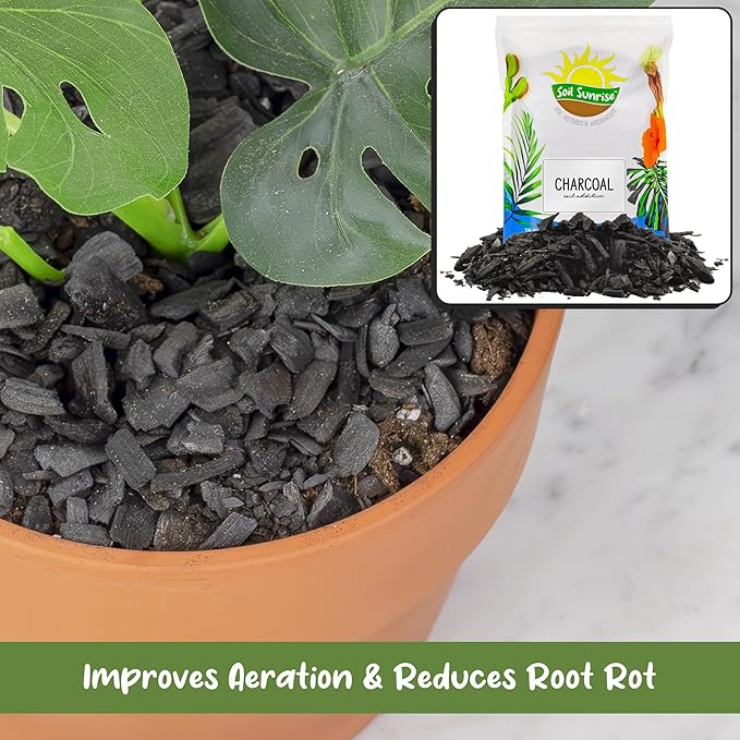 Soil Sunrise Horticultural Charcoal for Indoor Plants (12 Quarts) Hardwood Soil Additive for Orchids, Terrariums, and Gardening