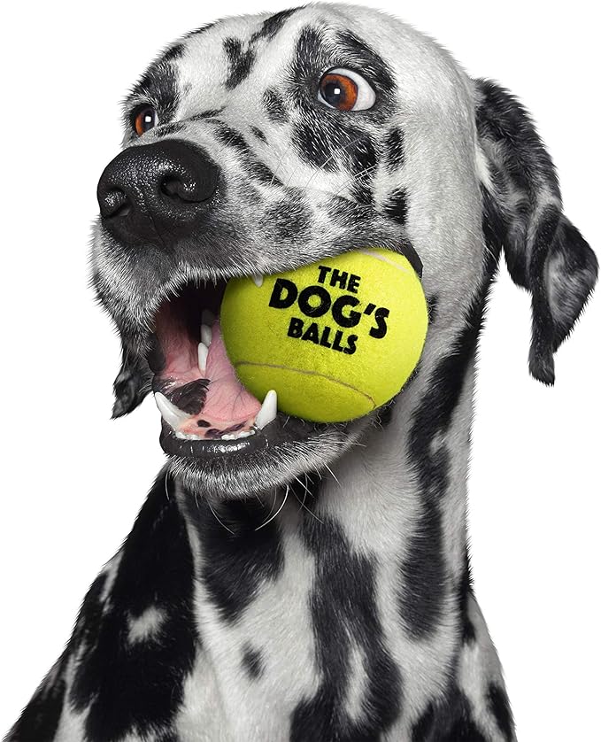 The Big Dog’s Balls Dog Tennis Balls for Large Dogs, Yellow, 3-Pack - Non-Abrasive Felt Fetch Balls, Tough Rubber Core, Float in Water