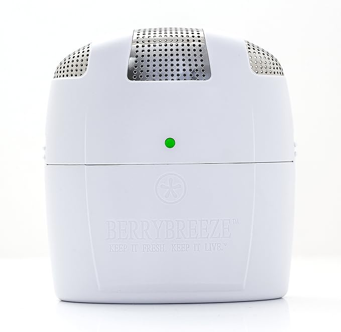 Berry Breeze Activated Oxygen Refrigerator Deodorizer-2023Model