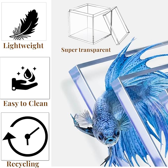 KissYou Small Acrylic Box Clear Box with Lid Plastic Display Boxes Square Cube Jewelry Storage Contanier Party Favor Christmas Candy Boxes