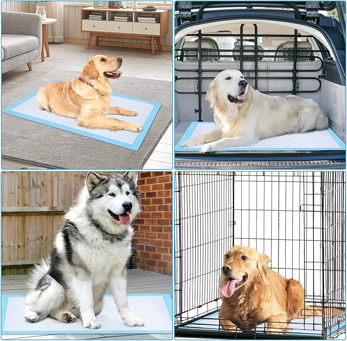Ownpets Dog Training XL Extra Large Pad 35’’ x 32’’, Leak-Proof 6-Layer Pet Potty Training Pads Pee Pads with Quick-Dry Surface for Pets, Puppies, Adult, Sick & Aging Dogs, 40 Counts