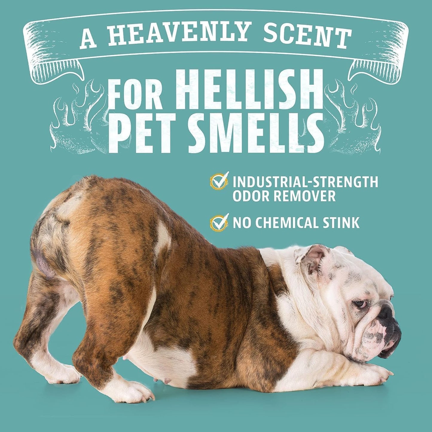 Angry Orange Pet Odor Eliminator & Stain Remover – Natural Citrus Cleaner for Dog & Cat Urine (24 oz) | Fixory911