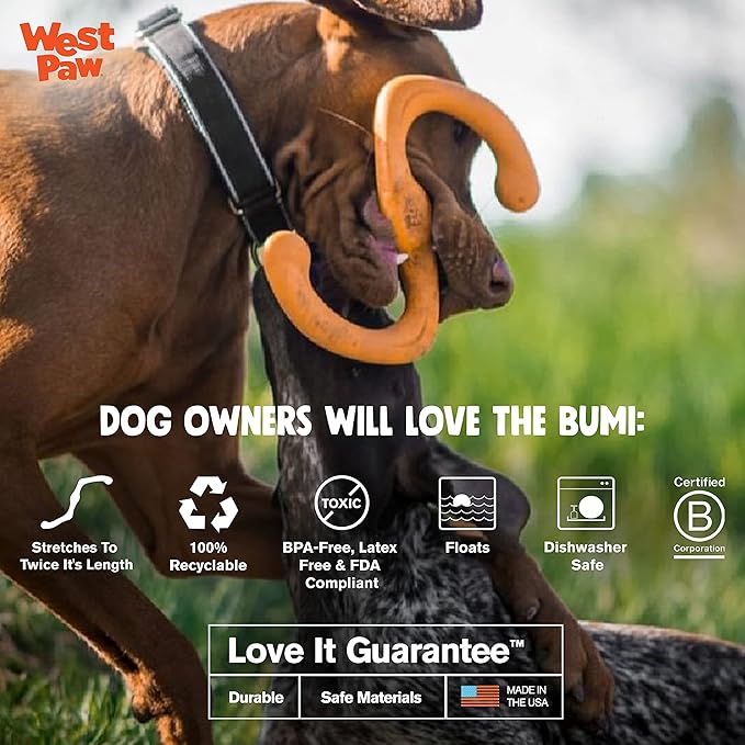 Zogoflex West Paw Design Bumi Dog Toy