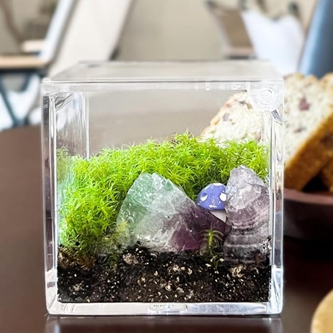 KissYou Small Acrylic Box Clear Boxes with Lid Acrylic Hinged Lid Box Coffee Pod Holder Candy Contanier Transparent Lucite Square Cube
