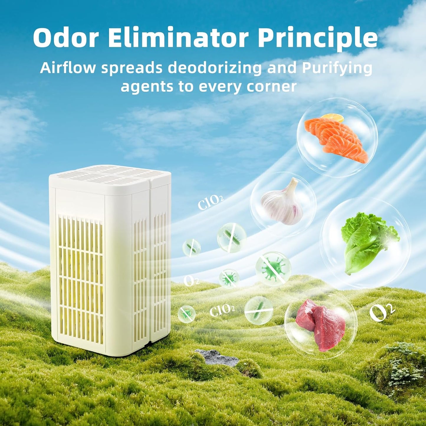 Strongest Refrigerator Deodorizer & Odor Eliminator – 12-Month Long-Lasting Freshness for Fridge, Shoe Cabinet & Car (1 Pack) | Fixory911