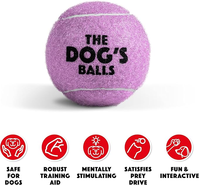 The Little Dog’s Balls Dog Tennis Balls for Small Dogs & Puppies, Lilac, 6-Pack - Non-Abrasive Felt Fetch Balls, Tough Rubber Core, Float in Water