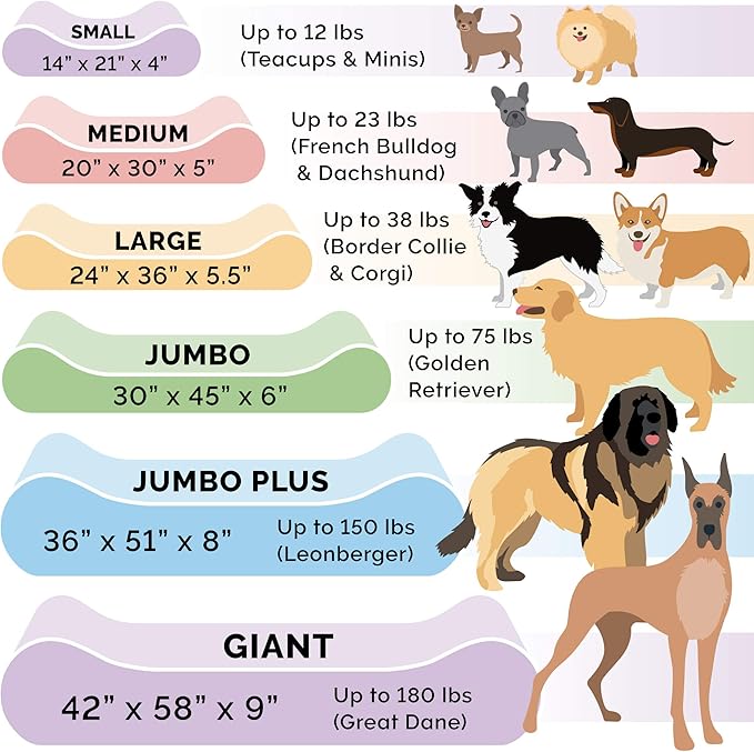 Furhaven Orthopedic Dog Bed for Extra Large Dogs w/ Removable Washable Cover, For Dogs Up to 180 lbs - Ultra Plush Faux Fur & Suede Luxe Lounger Contour Mattress - Cream, Giant/XXXL