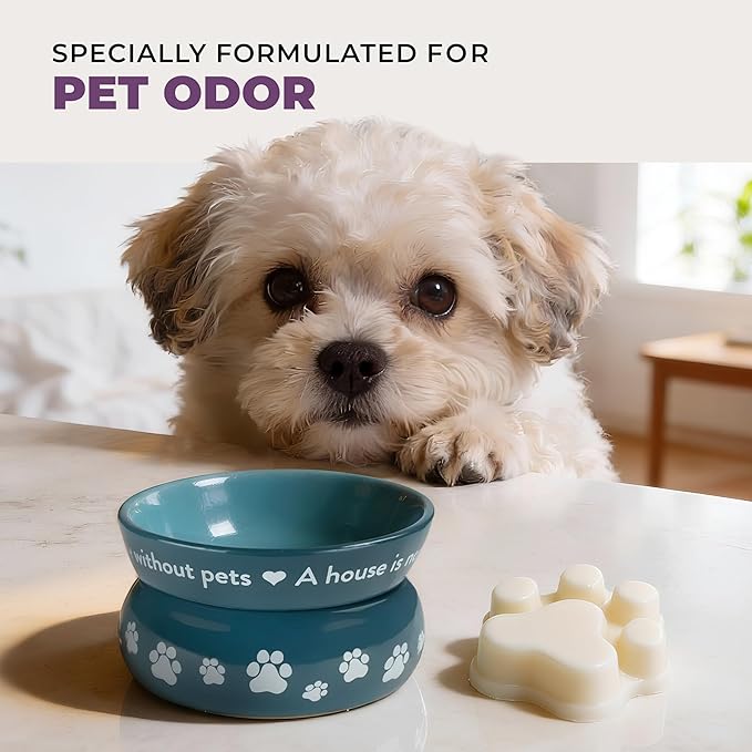 One Fur All Pet House Scented Wax Melts, Natural, Plant Based Soy Wax Melts for Pet Odor, Long Lasting Fragrance for Fresh Smelling Homes, Winter Fig