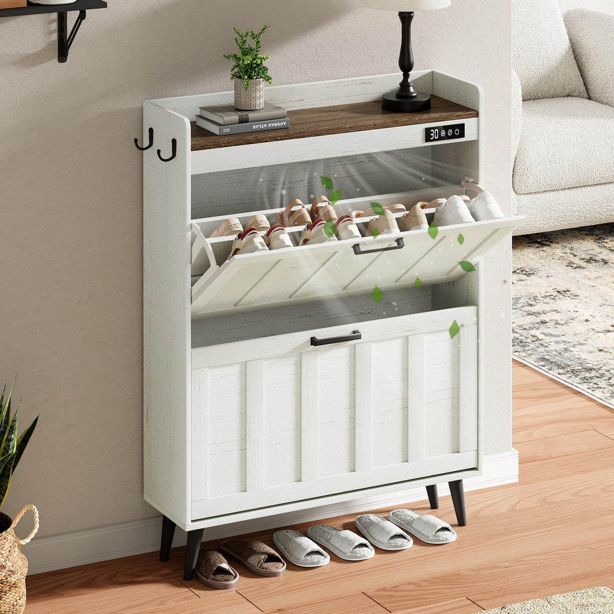 ChooChoo Shoe Storage Cabinet with 2 Flip Drawers and Deodorizer - Image 1
