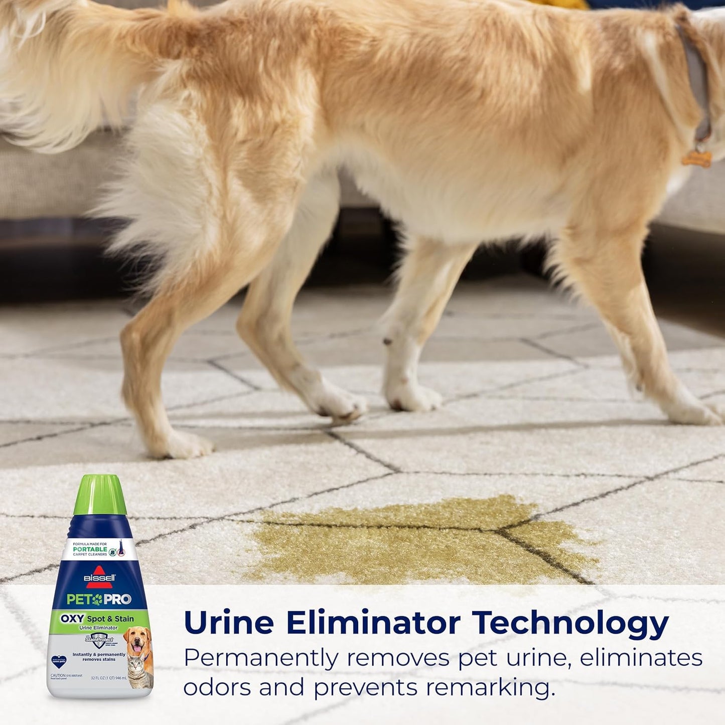 BISSELL PET PRO OXY Spot & Stain Formula – Portable Carpet Cleaner Solution (32 oz) | Fixory911