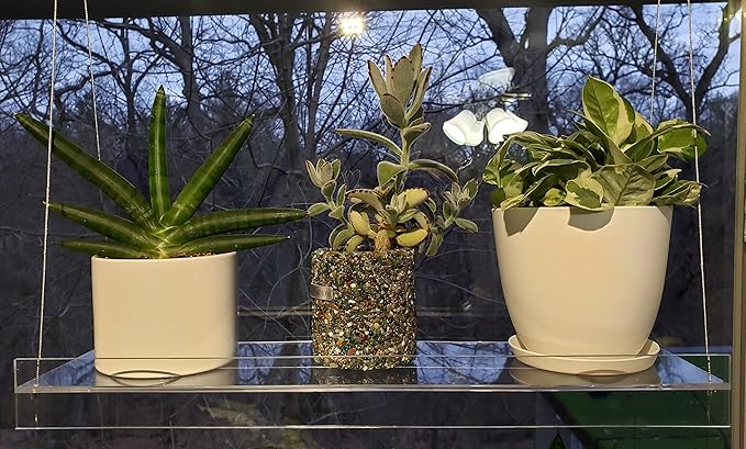 Hanging Acrylic Shelves for Windows (28" Wide, 2 Shelves - 35" Tall)