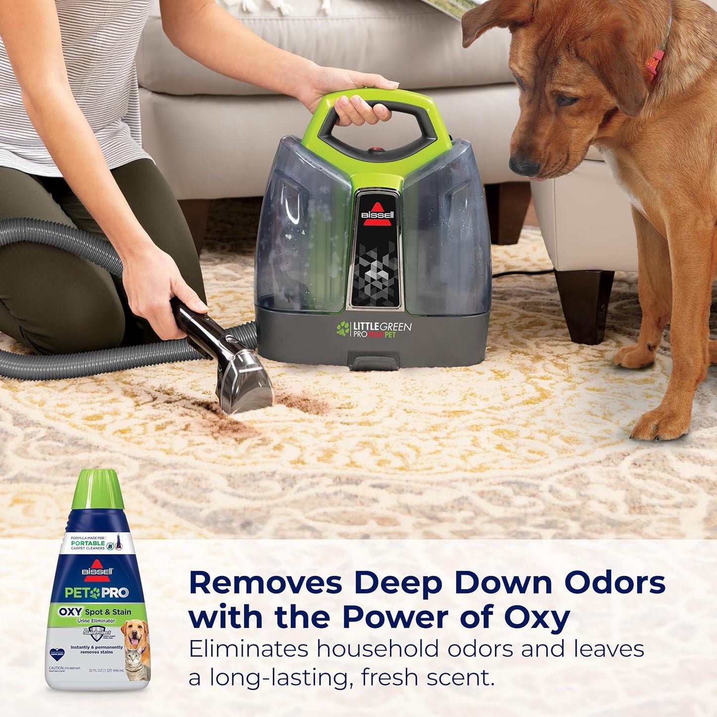 BISSELL PET PRO OXY Spot & Stain Formula – Portable Carpet Cleaner Solution (32 oz) | Fixory911