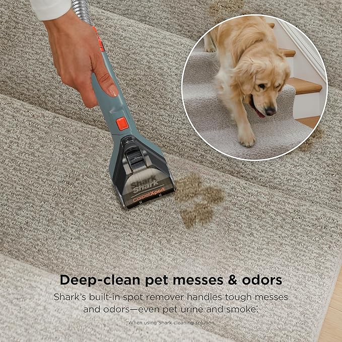 Shark CarpetXpert Upright Carpet, Area Rug & Upholstery Cleaner, Built-In Spot & Stain Remover & XL Tool, Perfect for Pets, Carpet Shampooer, 3 Cleaning Tools, Cleaning Solution, Slate Green, EX151
