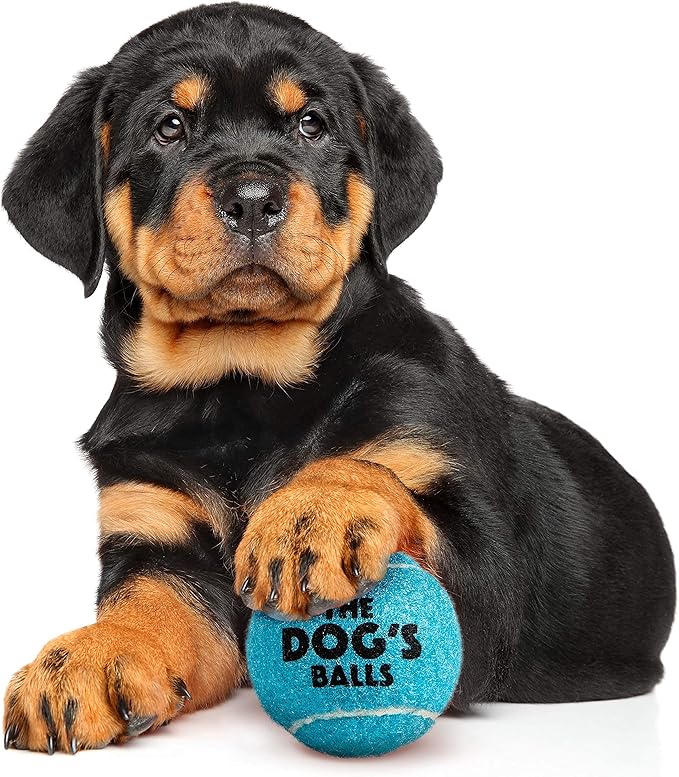 The Little Dog’s Balls Dog Tennis Balls for Small Dogs & Puppies, Blue, 6-Pack - Non-Abrasive Felt Fetch Balls, Tough Rubber Core, Float in Water
