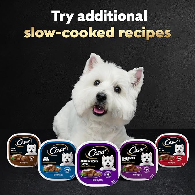 Cesar Wet Dog Food Classic Loaf in Sauce Butcher's Selects Variety Pack, Dry-Aged Ribeye Flavor and Filet Mignon Flavor, 3.5 oz. Easy Peel Trays, Variety Pack 12 Count (Pack of 1)