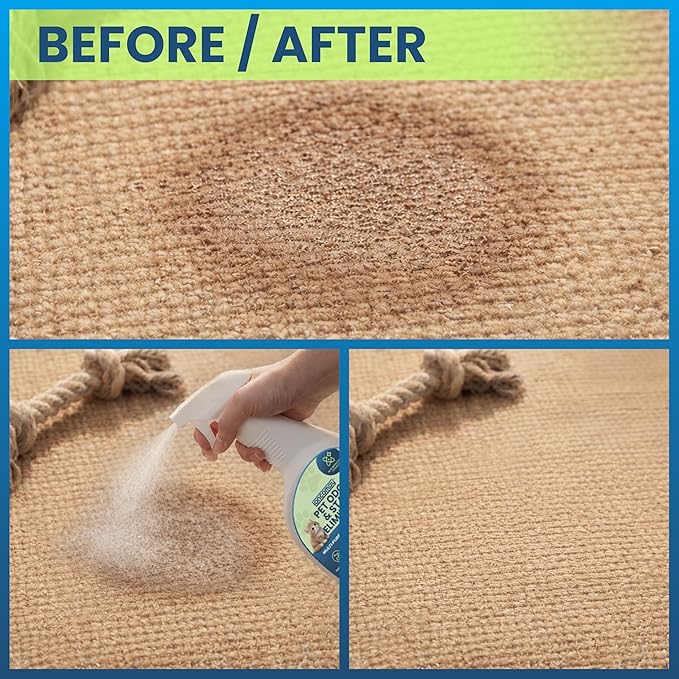 Stain & Odor Eliminator for Strong Odor, Enzyme Pet Odor Eliminator for Home, Carpet Stain Remover for Cat & Dog Urine, Kit
