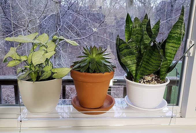 Hanging Acrylic Shelves for Windows (28" Wide, 2 Shelves - 35" Tall)